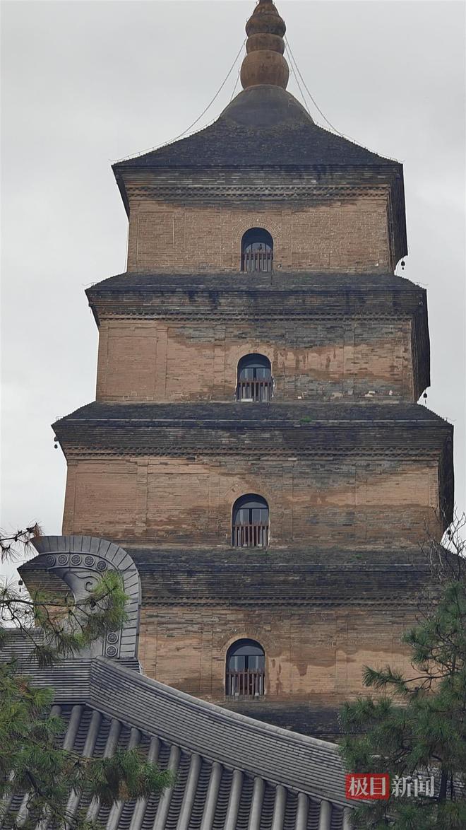 菇大雁塔受潮城墙布满青苔气象局解释成因开元棋牌西安连续一个多月降雨遍地长蘑(图2)